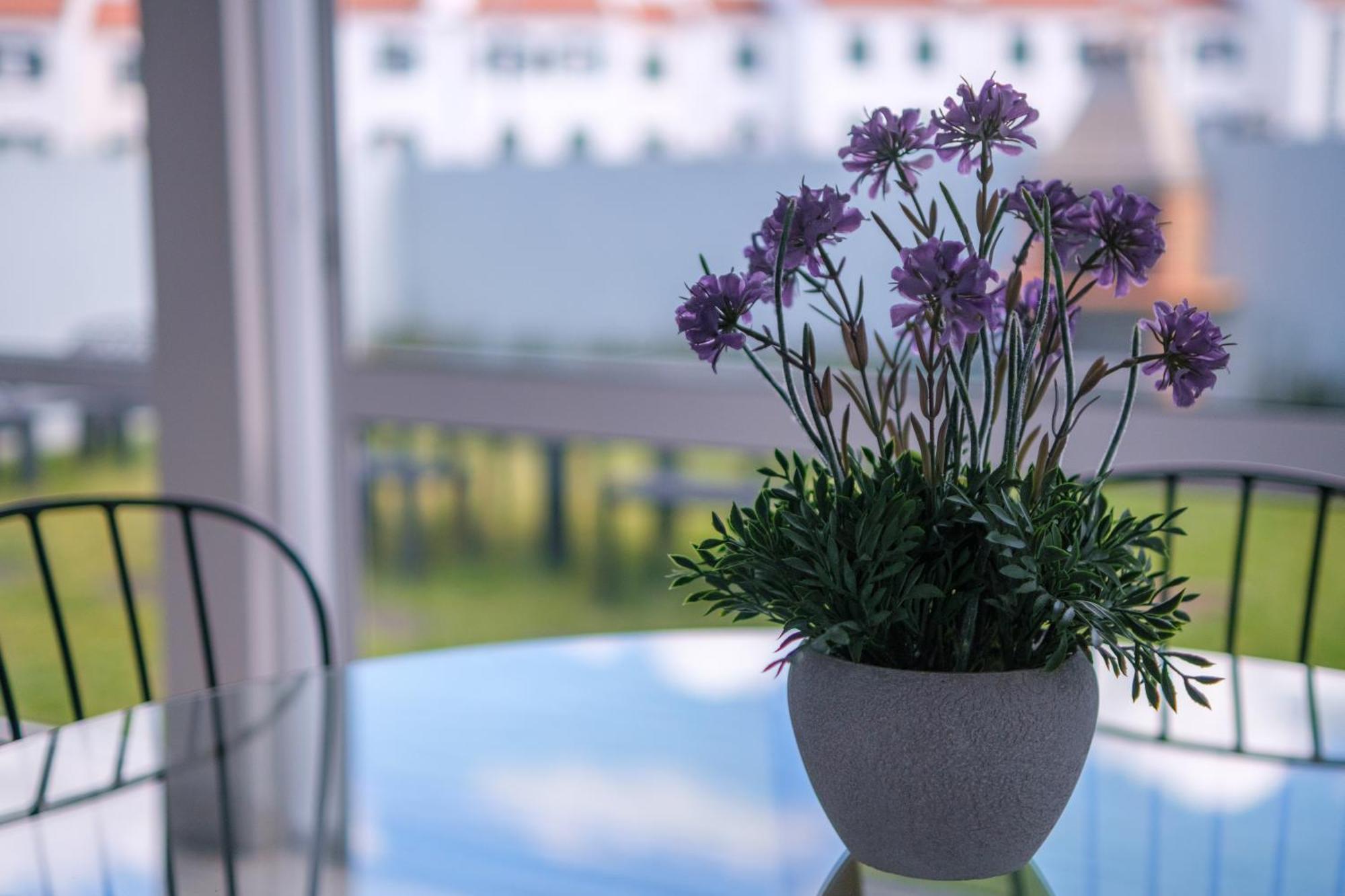 Areal De Santa Barbara Guest House Рибейра Гранде Екстериор снимка